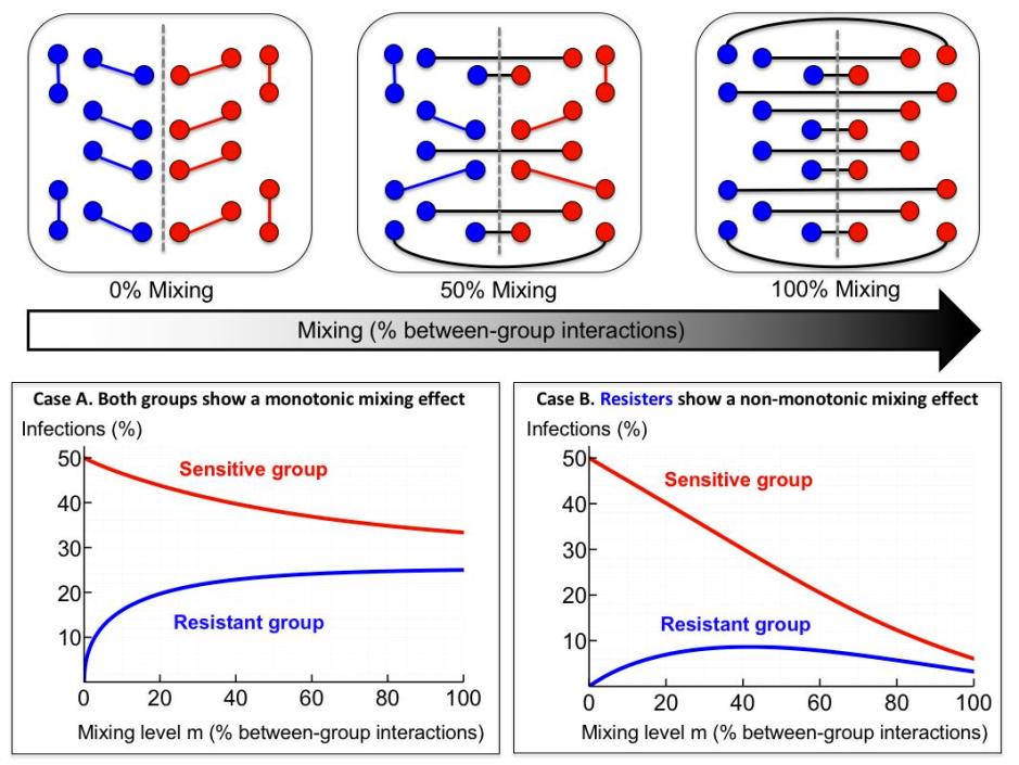 estructura_de_interaccion_y_niveles_de_infeccion