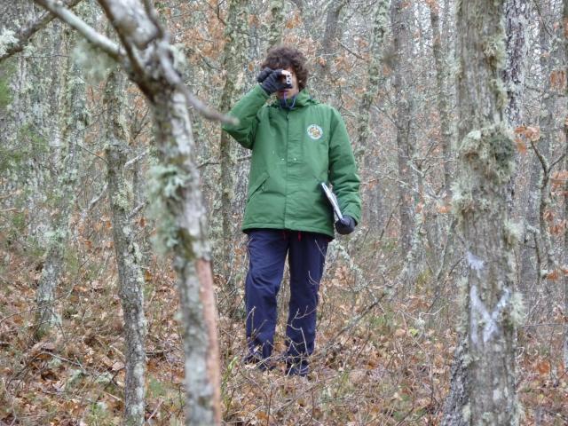 guillermo_j._practicas