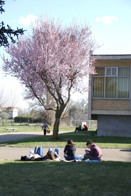 juventud+jovenes+edm+esther_duque+palencia+dia_juventud+emancipacion+vivienda+independizarse