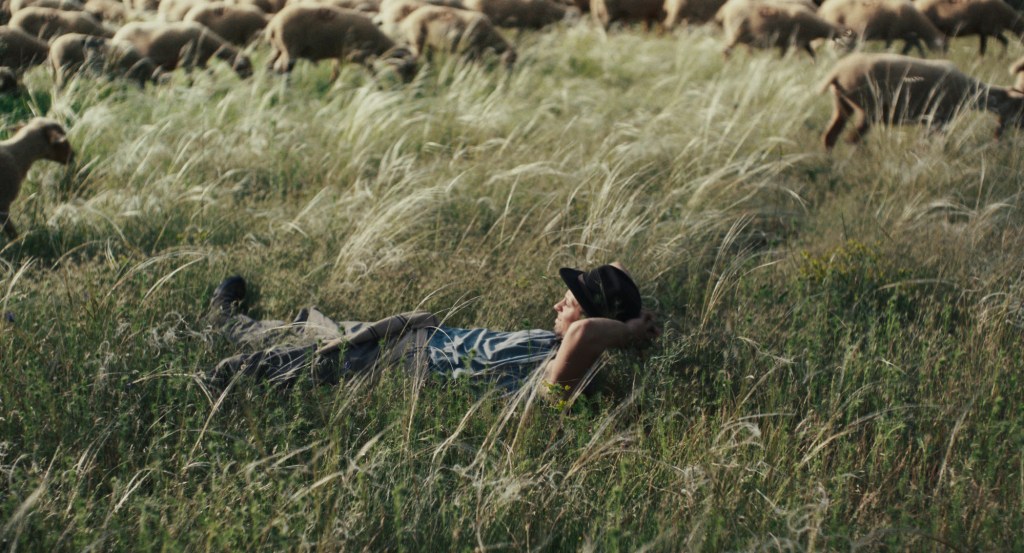 Hasta la montaña, de Sophie Deraspe, se estrena en España el 27 de febrero. Un filme sobre trashumancia, mundo rural y reconexión con la naturaleza.