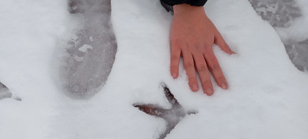 Veintisiete centros sostenibles de León participan en 'Urbes y Riberas', programa de la Junta de Castilla y León que lleva a más de mil alumnos a las riberas del Bernesga, Cea, Burbia, Cua y Sil.