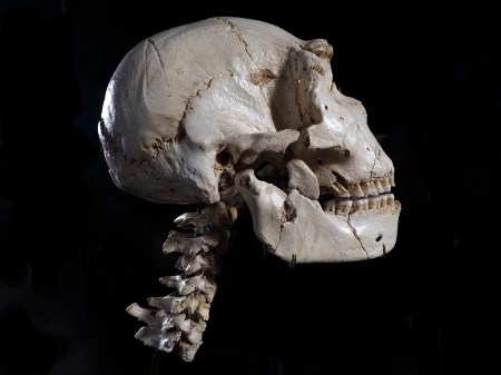 El MEH presenta su programación de verano 2026 en Atapuerca