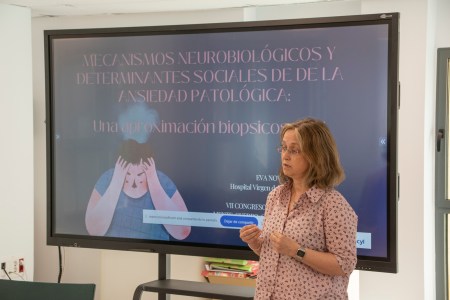 El Campus de Soria reúne investigaciones sobre neurociencia, salud mental, educación, microbiota, ejercicio, arte y cultura en un congreso internacional.